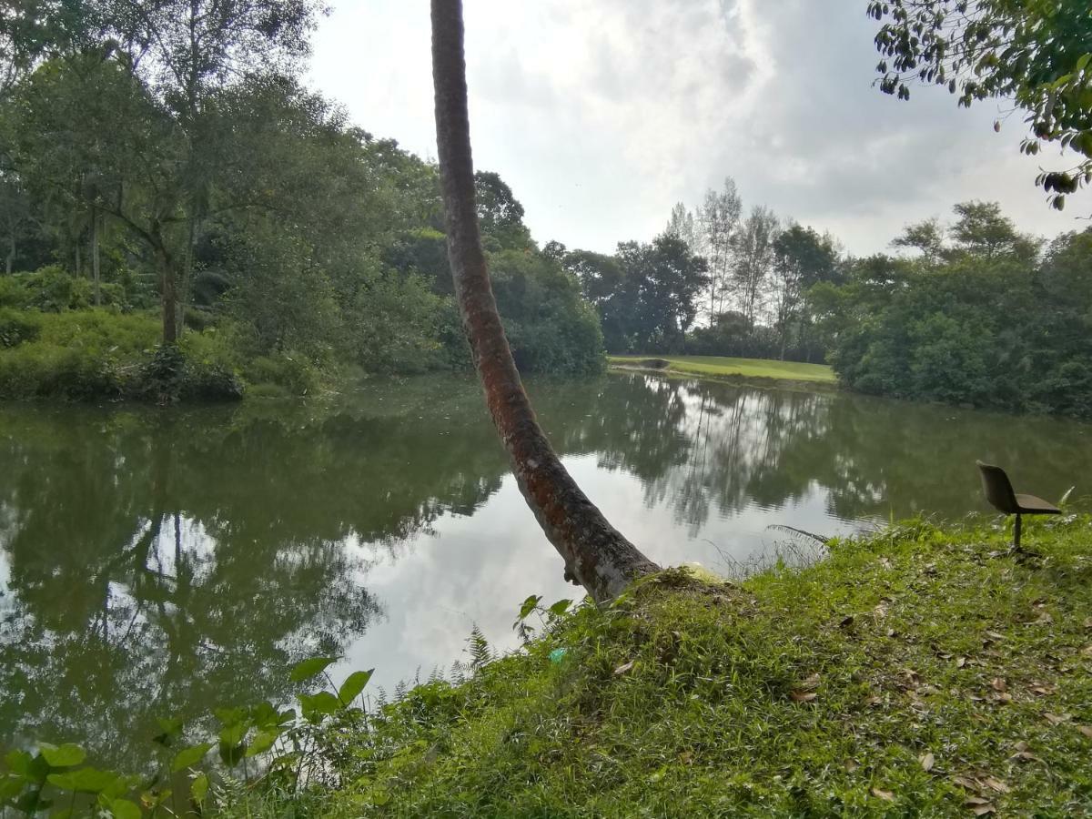 Janaview Taiping Hotel Exterior photo